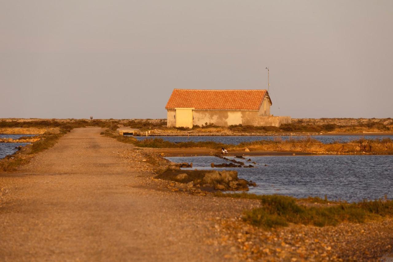 Vvf Narbonne-Plage Saint-Pierre-La-Mer フルーリー エクステリア 写真